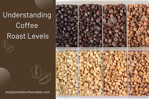 Coffee Roast Levels